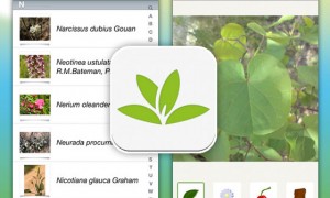 plantnet app