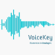 voice key worldcore