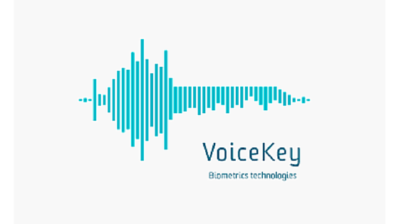 voice key worldcore