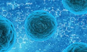 reviving-humans-brain-stem-cells