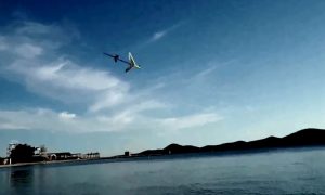 diving drone gannet
