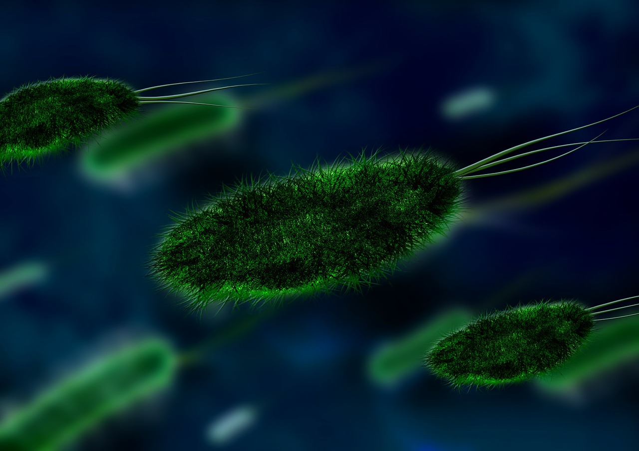 bacterial cells program control