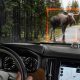 volvo detection system moose