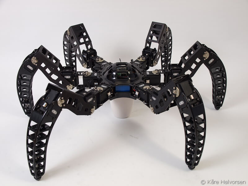 spider robot 3D printed