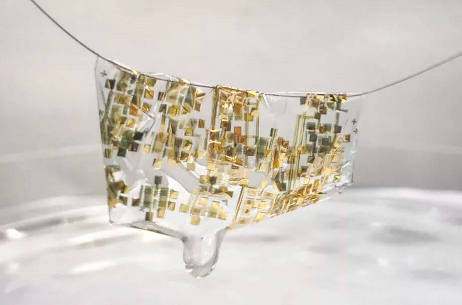 biodegradable wearable