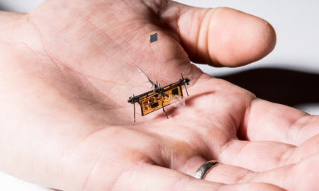 RoboFly robotic insect flying