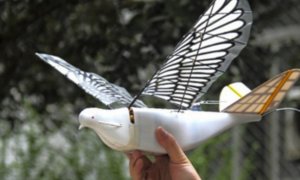surveillance drones birds