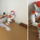 robot study empathy