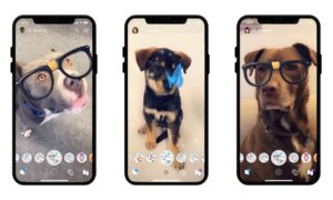 snapchat-dog-lenses