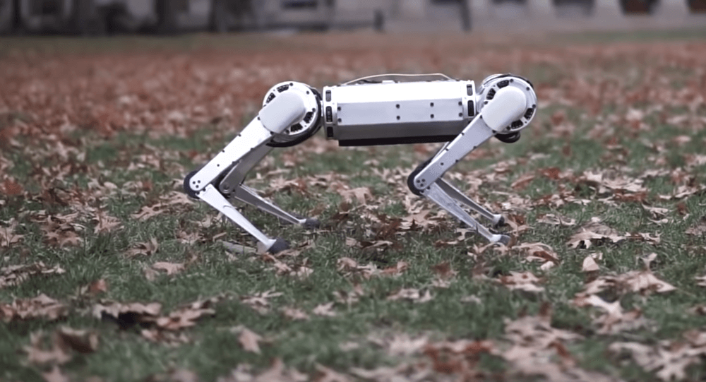 mit-mini-cheetah-robot-backflip