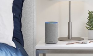 amazon-alexa-reviewers-can-access-user-location-data