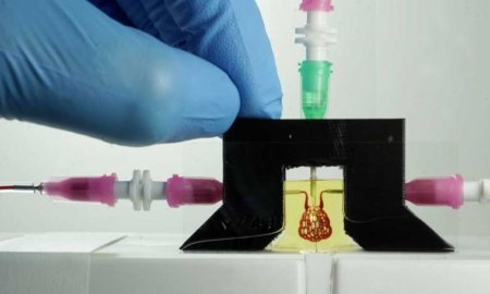 rice-university-bioengineers-3d-print-tissue