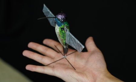 hummingbird-robot-better-than-drones