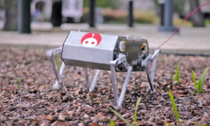 standford-dog-robot