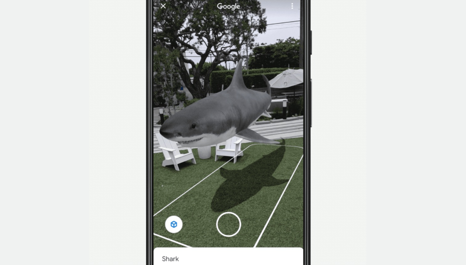 How To See 3d Shark Ar In Google Search Youtube