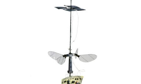robobee-gets-second-iteration-wtih-solar-cells