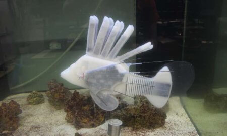 researchers-create-robot-fish-36-hour-battery