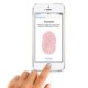 apple in display fingerprint sensor