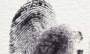 biometric data security flaw