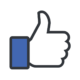 cropped-1200px-Facebook_Thumb_icon.svg_.png
