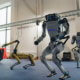 boston dynamics robots dance