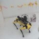 boston dynamics spot robotic dog rampage website