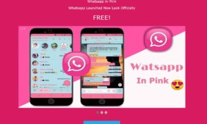 WhatsApp-Pink
